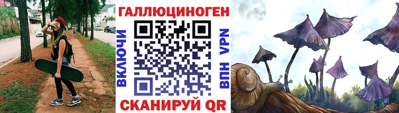 Купить  Никольское  Псилоцибиновые грибы MAGIC MUSHROOMS 
